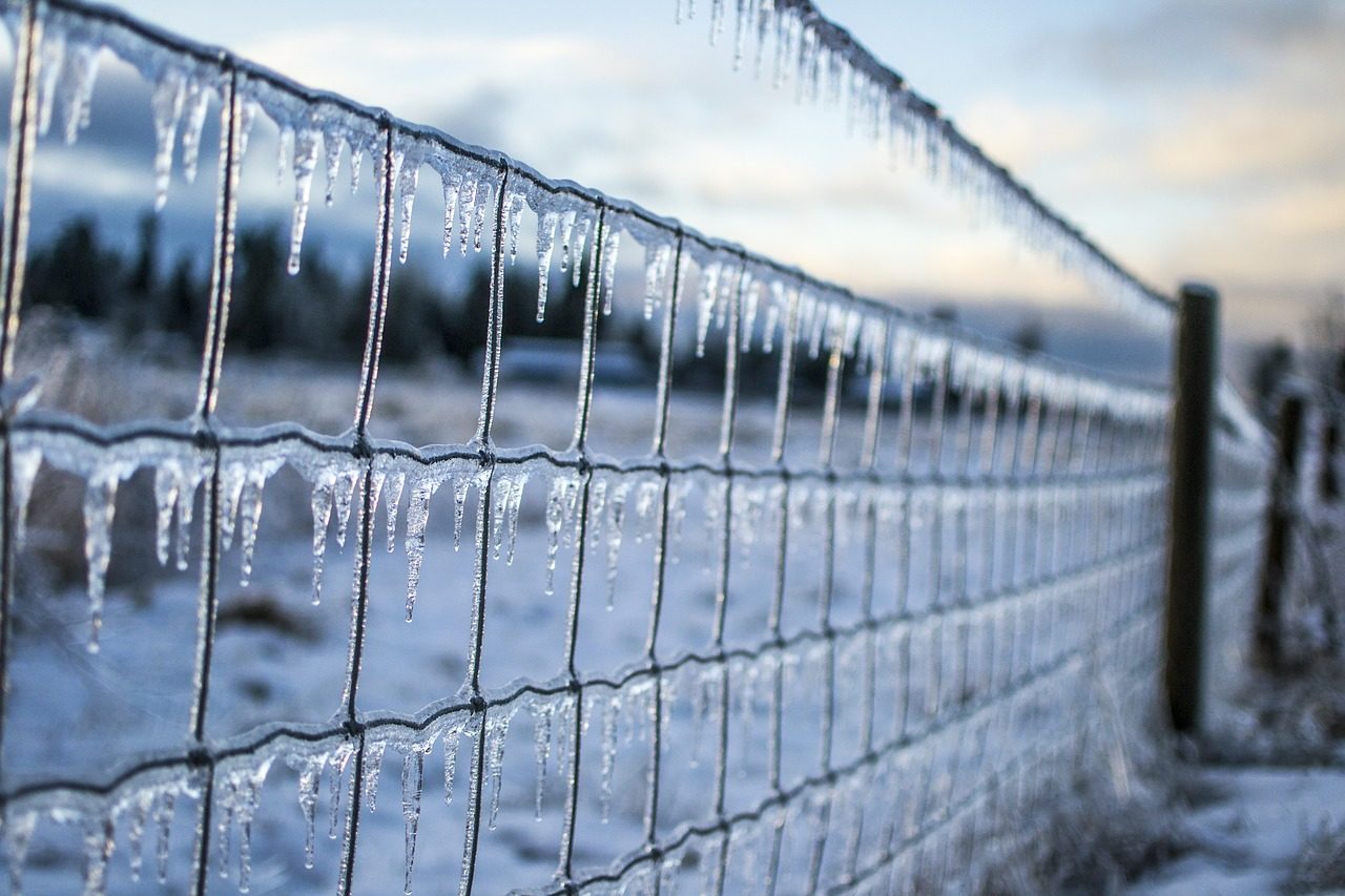 凍り付いた柵の写真