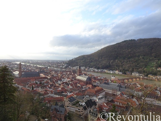 ハイデルベルク城から見た町の風景