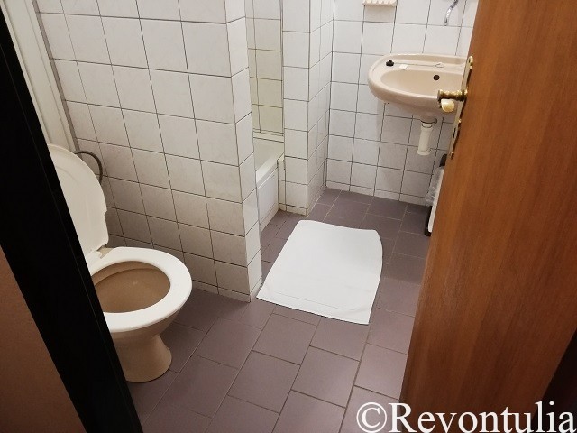 Hotel Slovan Plzeňのバスルーム