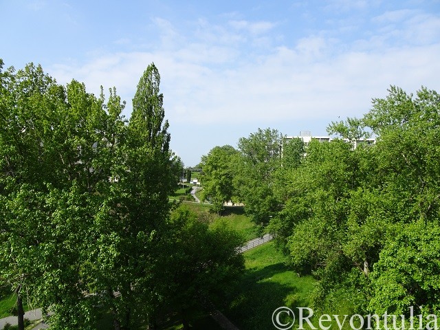 ブラチスラヴァの大学学生寮近くの公園